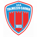 Wappen ASD Tolmezzo Carnia  114809
