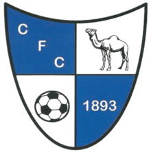 Wappen Camelford FC