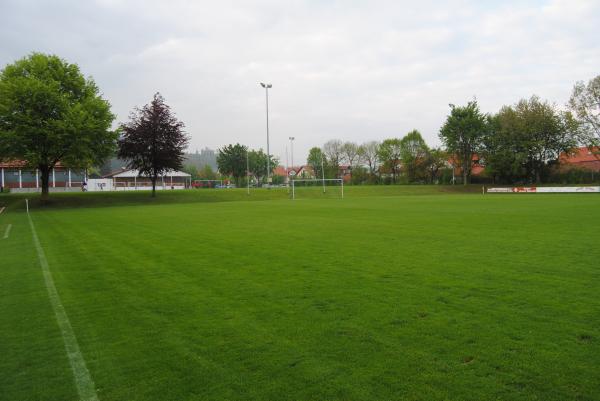 Veilchen-Arena - Aschau/Inn 