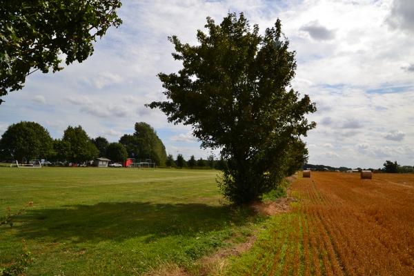 Sportanlage Rostocker Straße Platz 2 - Dettmannsdorf