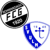 Wappen SG Schwarzach II / Ulm III (Ground A)