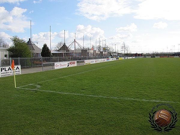 Sportpark Roodemolen veld 1 - Teylingen-Sassenheim