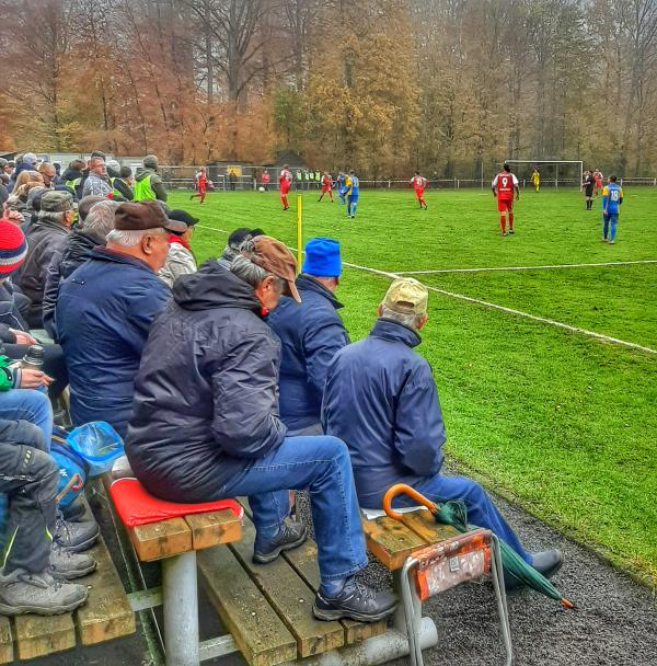 Waldsportplatz - Nobitz-Ehrenhain