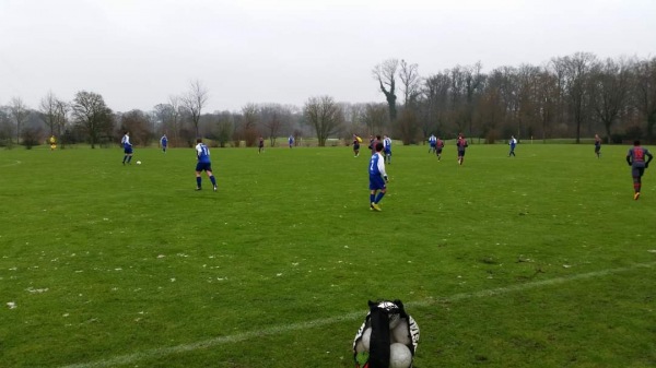 Sportpark De Waarbeek veld 3 - Hengelo OV