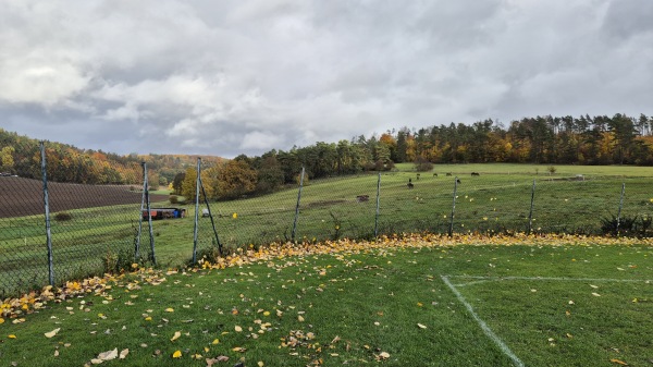 Sportplatz Exdorf - Grabfeld-Exdorf