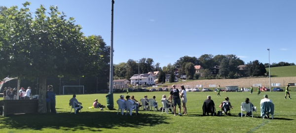 Terrain St-Amour - Savigny