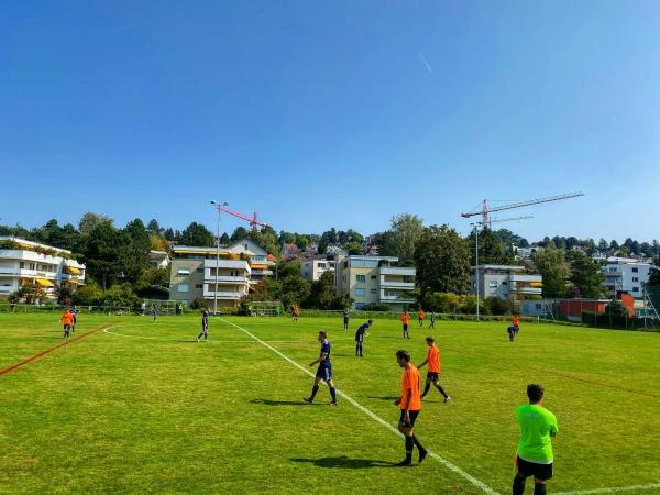 Sportplatz Riet - Zollikon