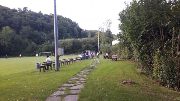 Sportplatz Gerzmatt - Wiedlisbach