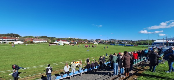 Sakkestad gras - Haugesund