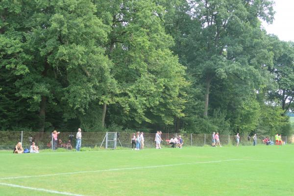 Sportplatz Hönggerberg Platz 2 - Zürich