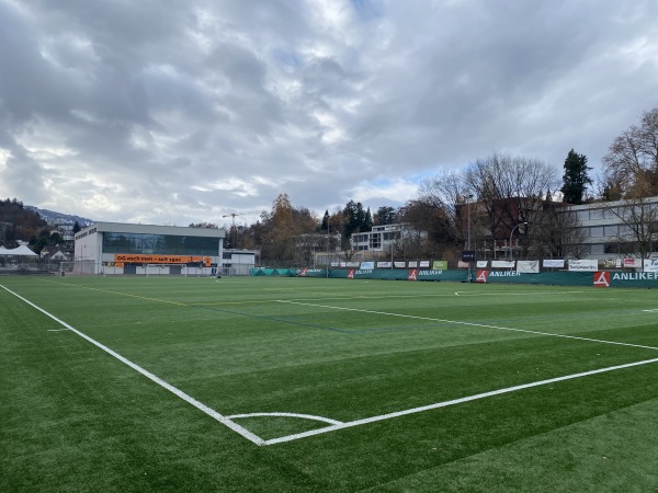 Sportplatz Wartegg - Luzern