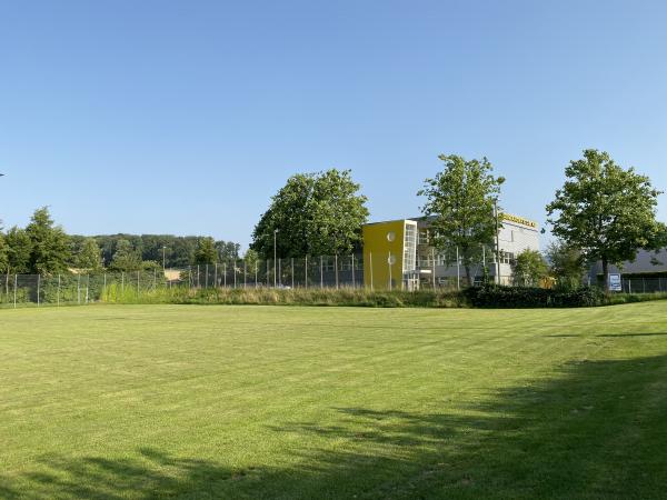 Sportplatz Eisweiher Platz 3 - Oberwil