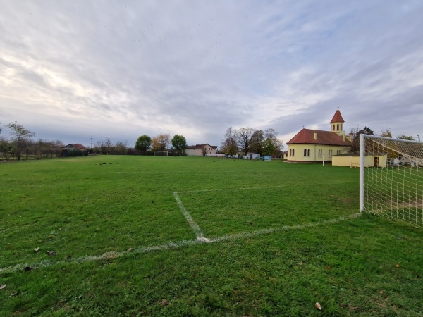 Stadionul Comunal Albina - Albina
