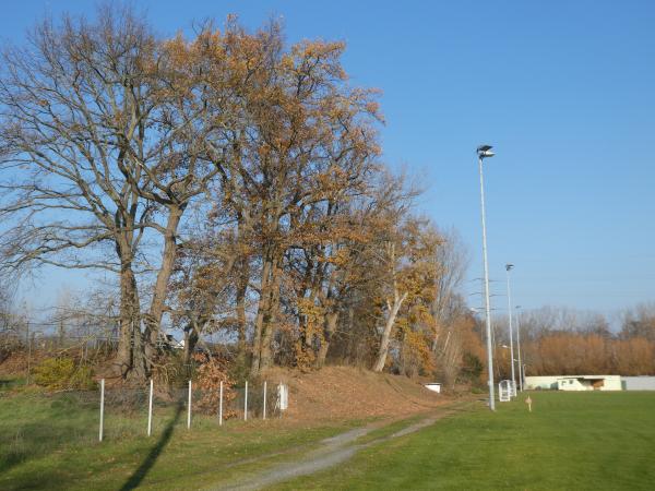 Sportanlage Christoph-Ding-Straße B-Platz - Braunschweig-Veltenhof