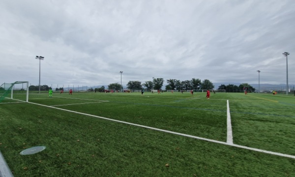 Stade du Guintzet terrain synthétique - Fribourg