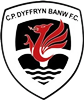 Wappen Dyffryn Banw FC