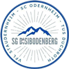 Wappen SG Disibodenberg (Ground A)