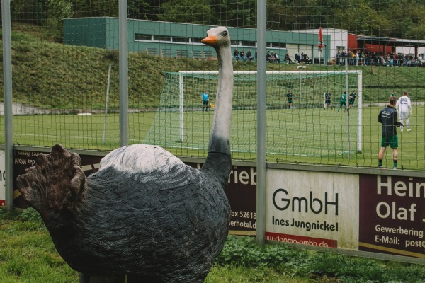 Burgstadion - Dohna