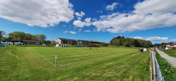 Sakkestad gras - Haugesund