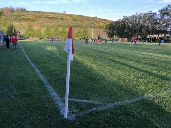 Schloßberg-Stadion Nebenplatz - Vogtsburg/Kaiserstuhl-Achkarren