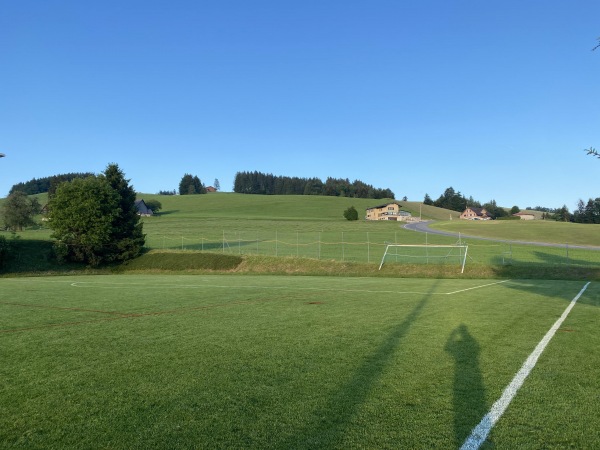 Alter Zustand (Naturrasen)