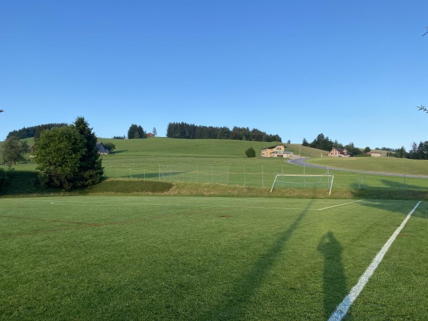 Sportanlage Weni Platz 2 - Feusisberg