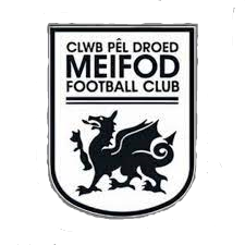 Wappen Meifod FC  125230