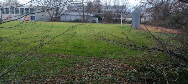 Sportplatz Theodor-Heuss-Gymnasium - Ludwigshafen/Rhein