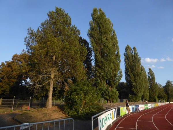 Tauberstadion  - Tauberbischofsheim
