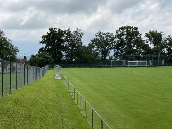 Stade du Guintzet terrain 3 - Fribourg