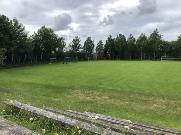 Sandved gress - Sandnes