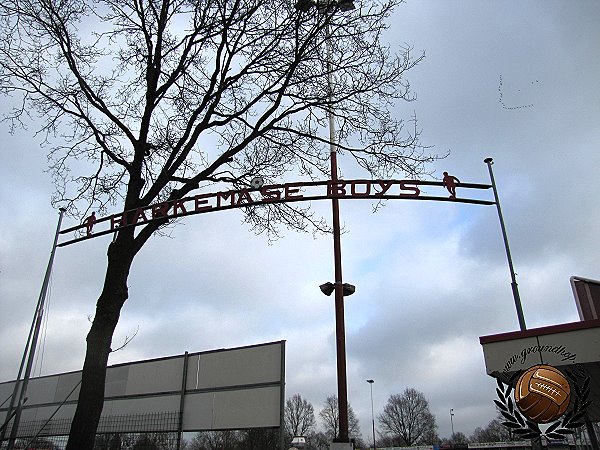 Sportpark De Bosk veld 1-HB - Achtkarspelen-Harkema