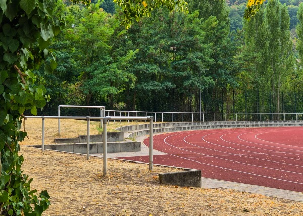 Stadion Schöntal - Neustadt/Weinstraße