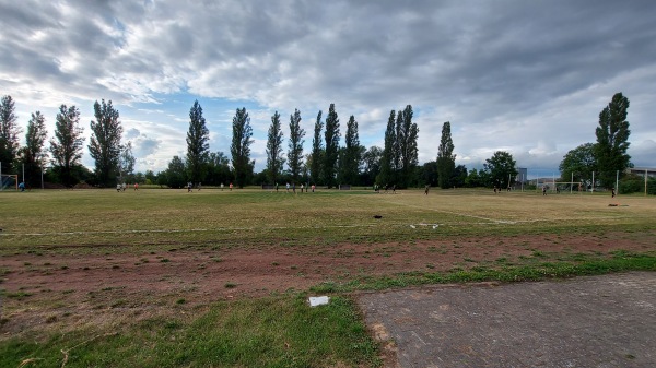 Sportplatz Kleinbahndamm - Golzow/Oderbruch