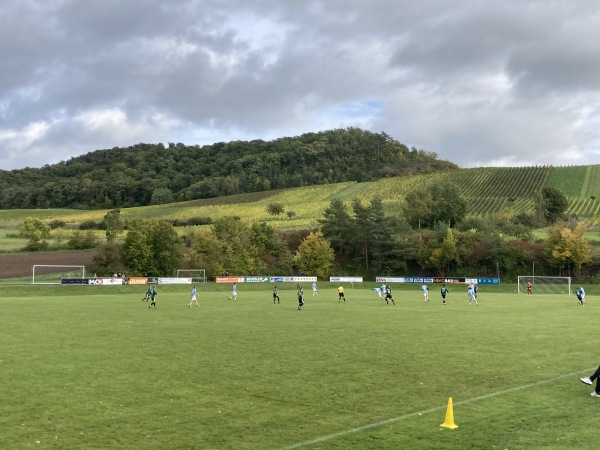 Sportgelände am Sebastianihaus - Oberschwarzach