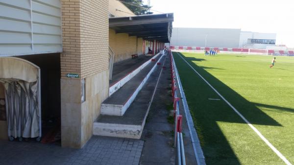 Estadio Isidro Calderón - Monzón, AR