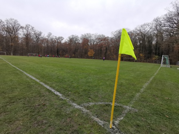 Herbert-Dröse-Stadion Nebenplatz 2 - Hanau-Wilhelmsbad
