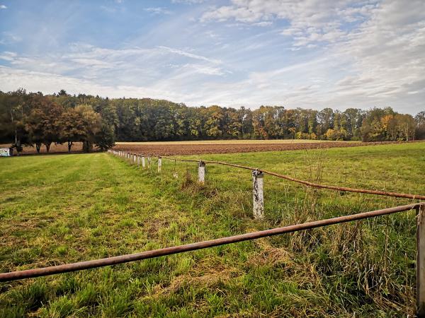 Sportplatz Oberholz - Rielasingen-Worblingen-Arlen