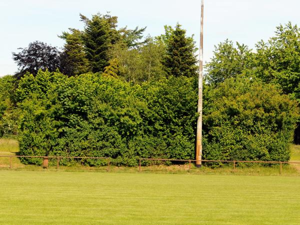 Sportplatz am Rosenfreibad - Harpstedt