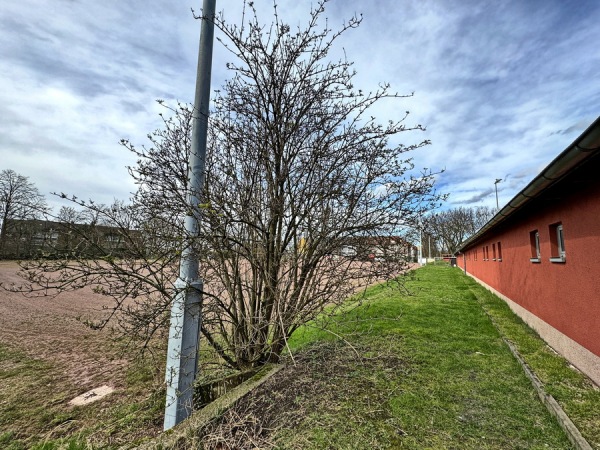 Sportanlage Seumannstraße Platz 2 - Essen/Ruhr-Altenessen