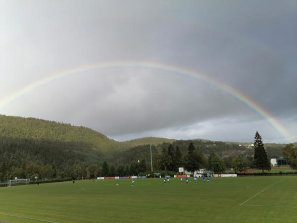 Kippermoen gress 1 - Mosjøen/Vefsn