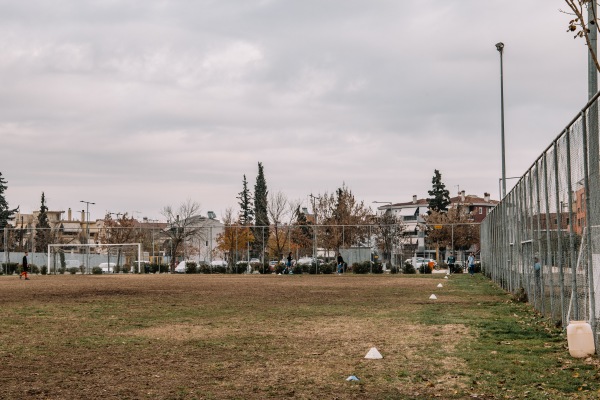 Stadio Nea Politia B - Larissa