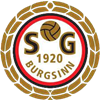 Wappen SG 1920 Burgsinn II  63364