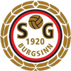 Wappen SG 1920 Burgsinn II