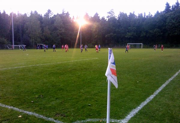 Sportanlage Bürgermeisterweg B-Platz - Hartenholm