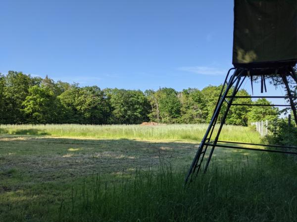 Sportplatz am Eisenberger Wald - Wattenheim/Pfalz