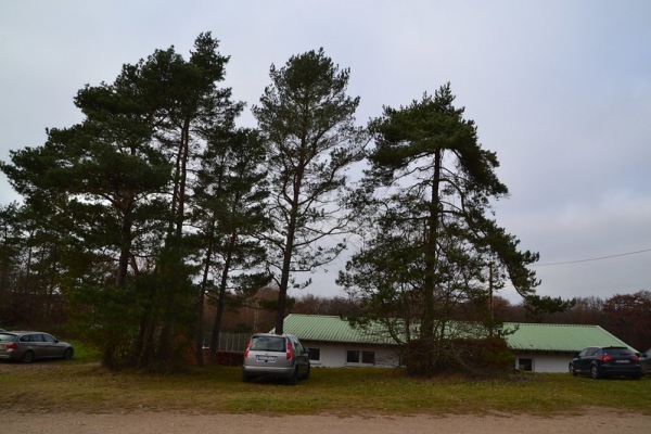 Sportplatz Op Rächert - Nohn
