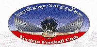 Wappen Yeedzin FC Wappen Yeedzin FC
