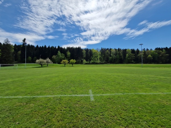 Sportplatz Brühl - Roggwil BE