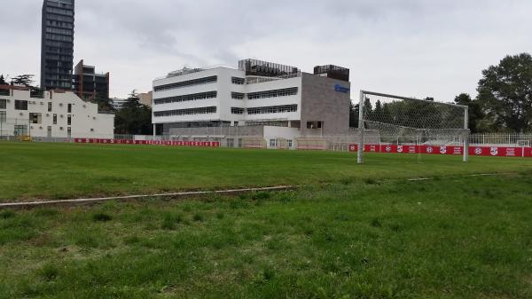 Mikheil Meskhis Sakhelobis Stadionis Satadarigo Moedani - Tbilisi